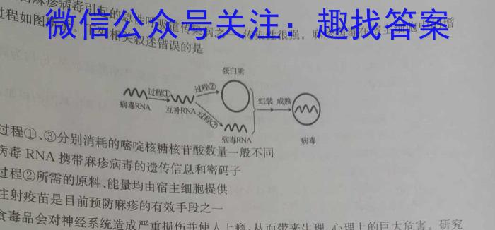 洛平许济2023-2024学年高三第三次质量检测(3月)生物学试题答案