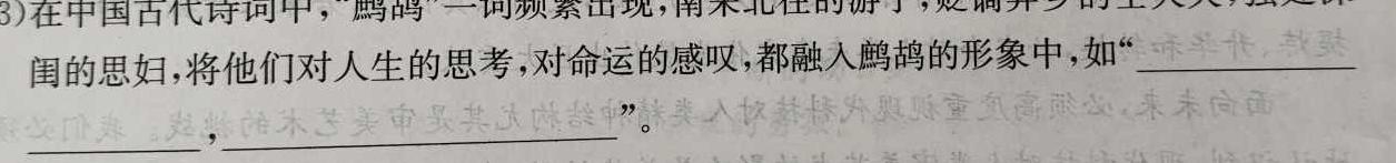 [今日更新]河北省2023-2024学年高一第二学期开学检测考试语文试卷答案