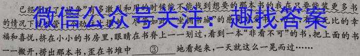 宿州市省、市示范高中2023-2024学年度高一第二学期期末教学质量检测语文