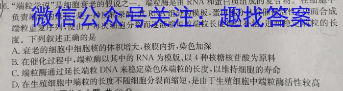 浦东新区2023学年度第二学期期中教学质量检测（高一）生物学试题答案