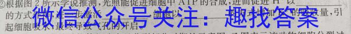 陕西省2023~2024学年度七年级期末教学素养测评(八) 8L R-SX生物学试题答案