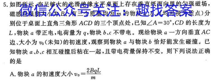 江淮十校 2024届高三第一次联考(8月)q物理