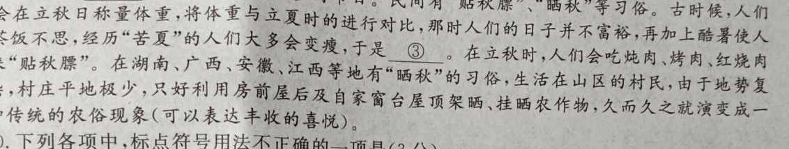 2023-2024学年安徽省九年级教学质量检测（二）语文
