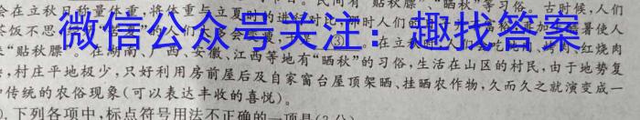 2023-2024学年安徽省八年级教学质量检测（一）语文