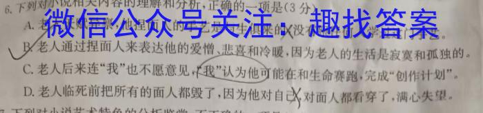 广东省2024届普通高中毕业班第一次调研考试（粤光联考）语文