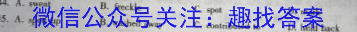 河南省2024届高三年级8月联考英语