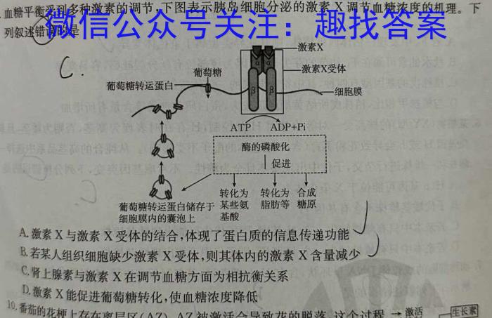 江淮十校2024届高三第一次联考（8月）地理试卷及参考答案生物试卷答案