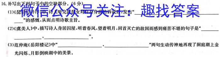 河北省2023-2024学年高三省级联测考试（8月）语文