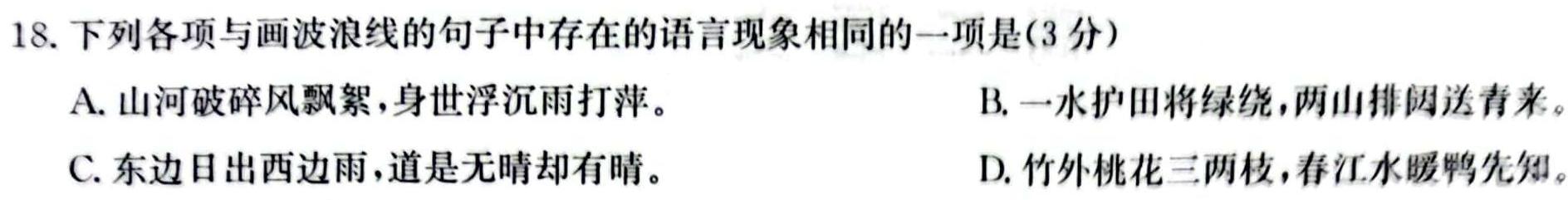 佩佩教育2024年普通高校招生统一考试 湖南10月高三联考卷语文