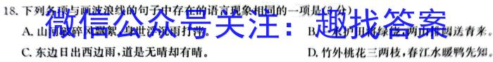 九师联盟 2024届9月高三高考仿真模拟(LG)语文