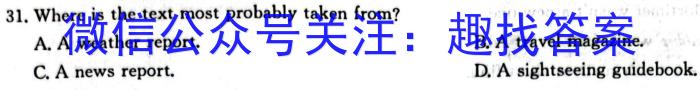 2024届安徽省六校教育研究会高三上学期入学素质测试英语