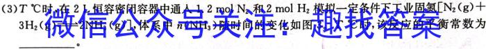 f湖南省长沙市湖南师大附中2024届九年级第一次质量调研检测化学