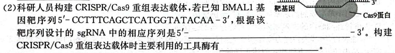 广东省2023-2024学年高二上学期9月联考生物