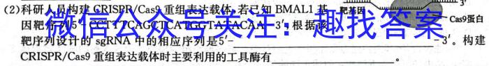 邯郸市2024届高三年级第一次调研监测生物试卷答案