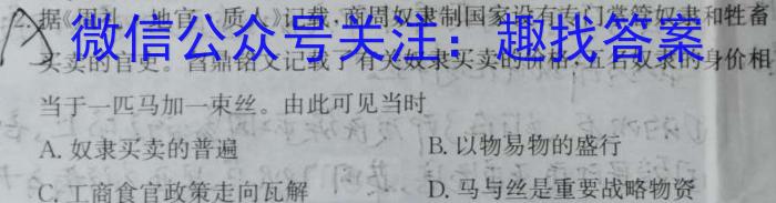 九师联盟 2024届高三9月质量检测X历史试卷