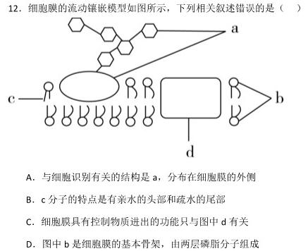 山西省2024届九年级阶段评估(一)1 1L R生物
