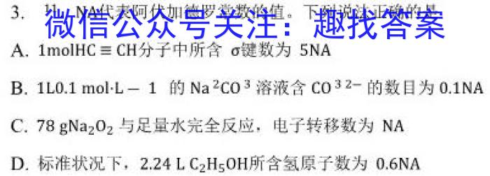 q安徽省2024届九年级第一次阶段性诊断检测卷【R-LKZX B AH】化学