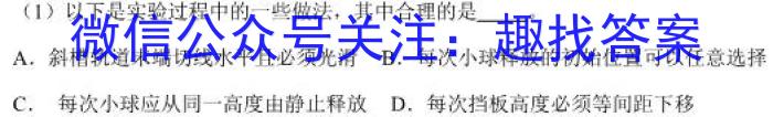 2023-2024学年安徽省九年级教学质量检测（一）物理`