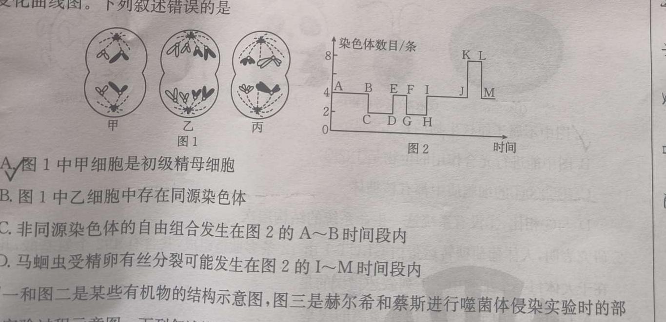 2024届高考名校导航金卷一生物学试题答案