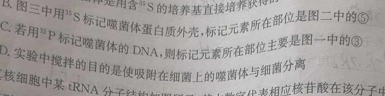 怀仁一中高二年级2023-2024学年上学期第二次月考(24092B)生物