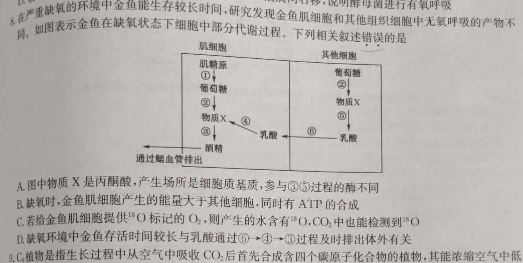 永寿县中学2023-2024高三第一次考试(24048C)生物学试题答案