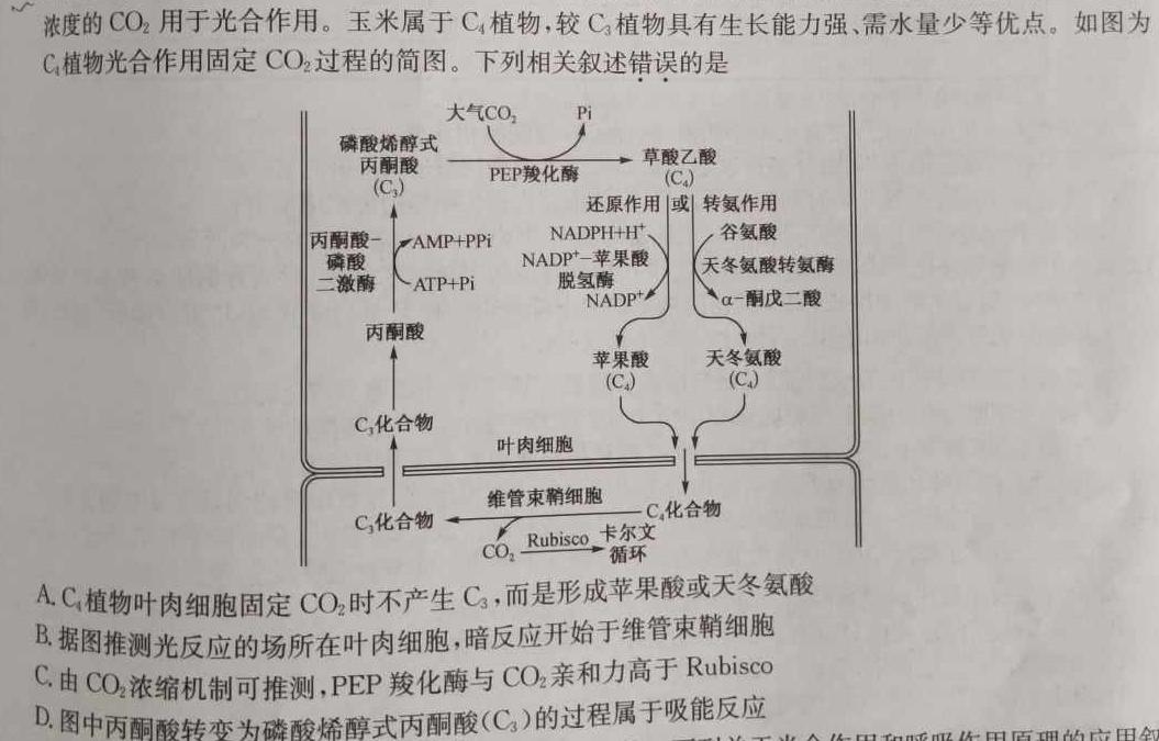 河南省中原名校联盟2024届高三上学期9月调研考试生物