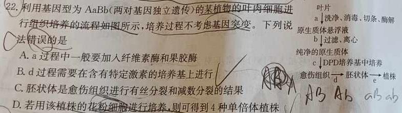 吉林省2024届高三试卷9月联考(标识⇧)生物学试题答案