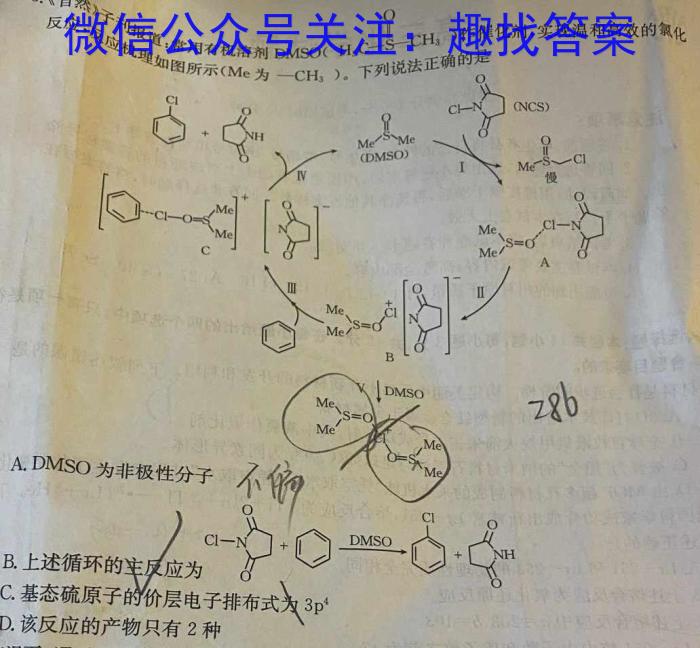 b[国考1号4]第4套 2024届高三阶段性考试(一)1化学