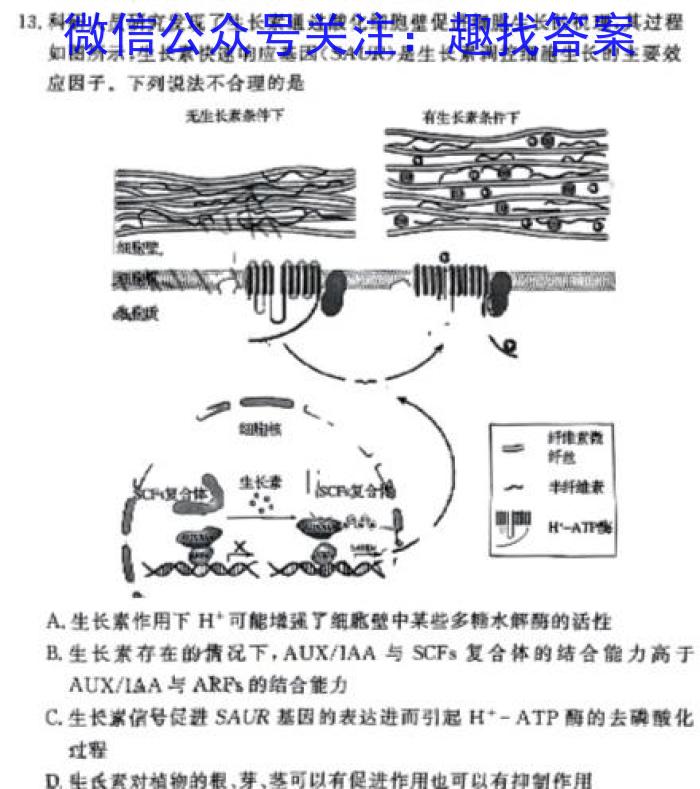 湖南省长沙市第一中学2024届高三上学期月考（二）生物