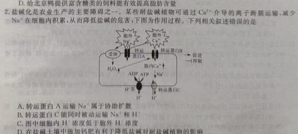 2024届九师联盟9月高三开学考(新教材-L)G生物
