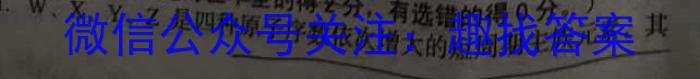 q2024届全国大联考高三第一次联考1LK·新教材老高考化学