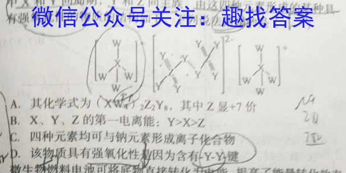 q2024届全国大联考高三第一次联考1LK·新教材老高考化学