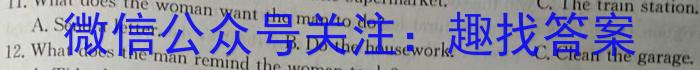 陕西省2024届九年级教学质量检测B英语
