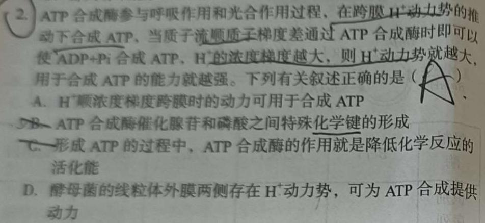 衡水金卷2023-2024学年度上学期高三年级二调考试（新高考版）生物学试题答案