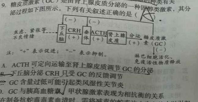 衡中同卷 2023-2024学年度上学期高三年级二调考试生物