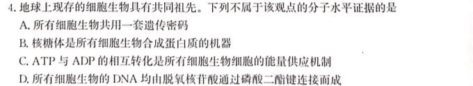 山西省2024届高三试卷9月联考(24-30C)生物学试题答案