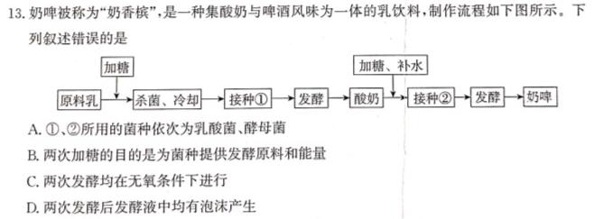 遵义第一组团2024届(9月)高三第一次质量监测生物学试题答案