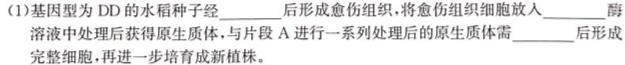 2024年湖南省永州一模 高考第一次模拟考试生物