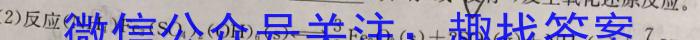 1河南省24届高三年级TOP二十名校调研考试三[243065D]化学