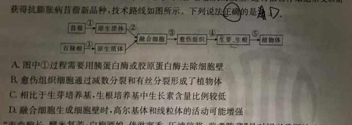 安徽省皖豫名校联盟体2024届高三第一次联考生物