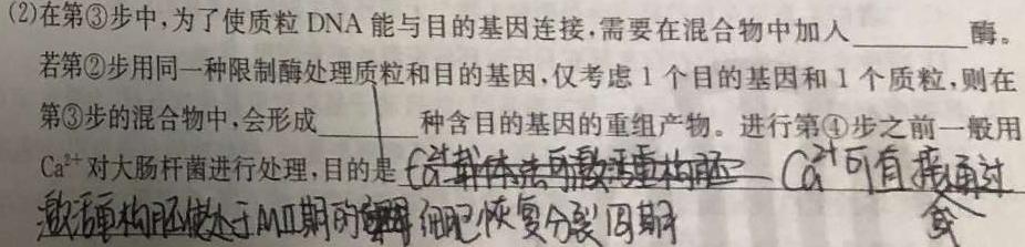 名校联考·2024届高三总复习·月考卷(二)生物学试题答案