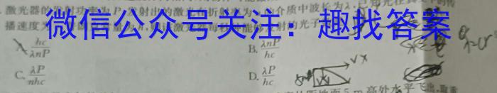 黑龙江省双鸭山市2023年新初一学年质量监测（9月）f物理