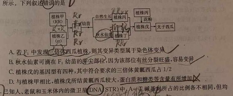 河北省2024届九年级阶段评估(一) 1L R生物