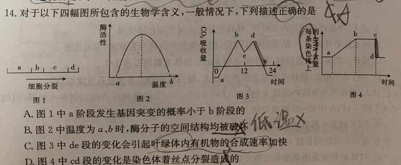 永寿县中学2023-2024高三第一次考试(24048C)生物学试题答案