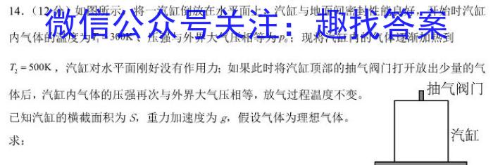 佩佩教育2024年普通高校招生统一考试 湖南10月高三联考卷l物理