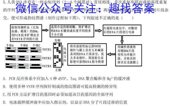 山西省九年级2023-2024学年新课标闯关卷（十）SHX生物试卷答案