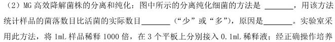 炎德英才大联考湖南省邵阳市2024届高三10月联考生物学试题答案