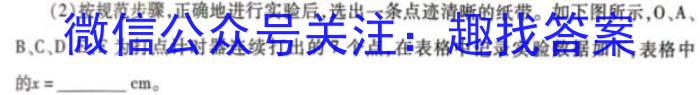哈尔滨市第九中学2023-2024学年度高二上学期9月份考试l物理