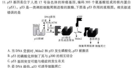 云南省2025届高二年级9月月考卷生物