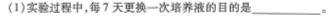 青海省大通县教学研究室2024届高三开学摸底考试(243048Z)生物